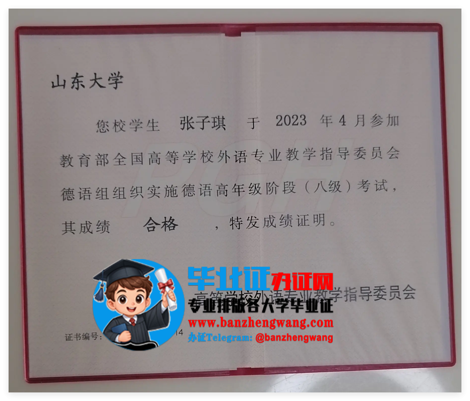 办德语专业八级证(PGH)