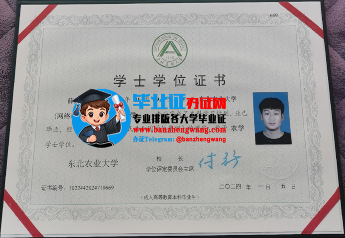 专业制作东北农业大学成人学位证,东北农业大学函授学士学位证样本